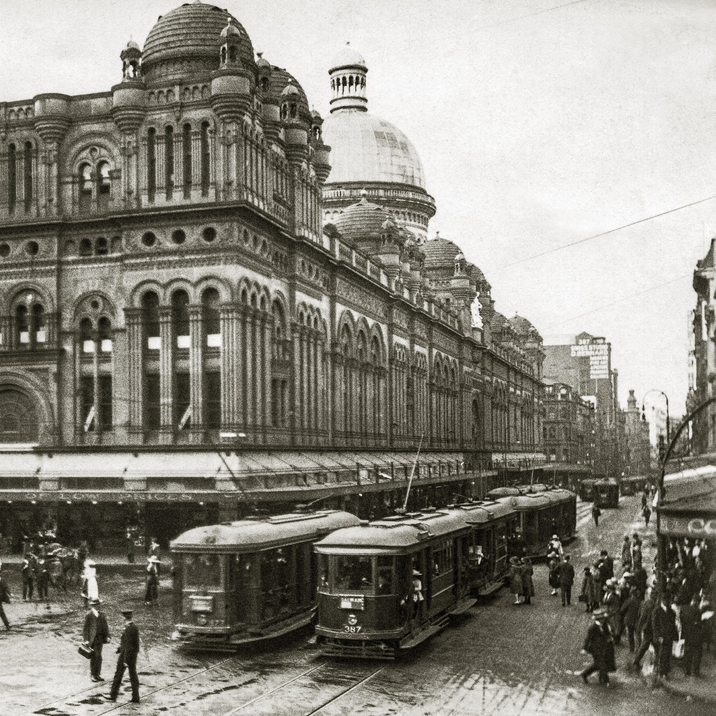Sydney Trams